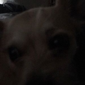 Meet your Posher, Kerri